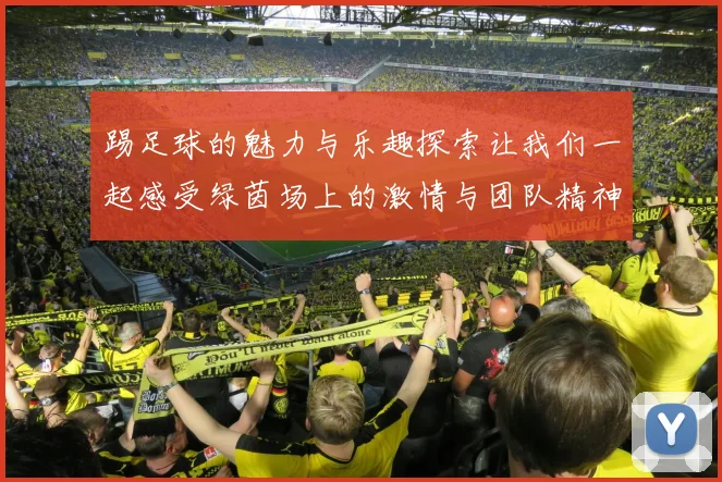 踢足球的魅力与乐趣探索让我们一起感受绿茵场上的激情与团队精神