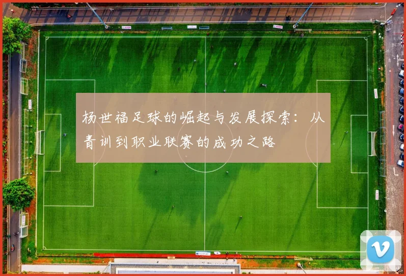 杨世福足球的崛起与发展探索：从青训到职业联赛的成功之路