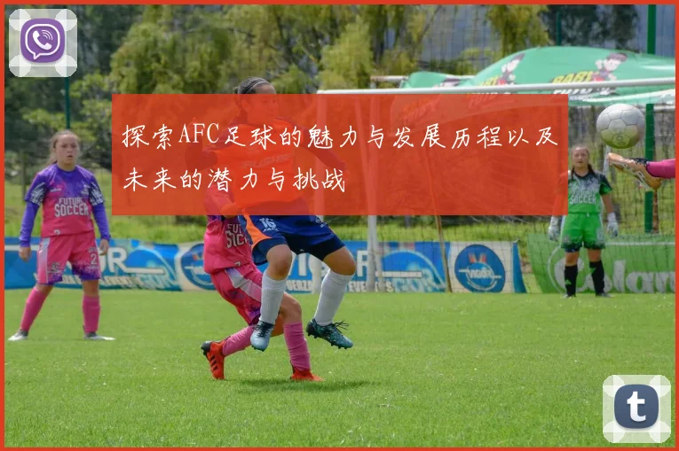 探索AFC足球的魅力与发展历程以及未来的潜力与挑战