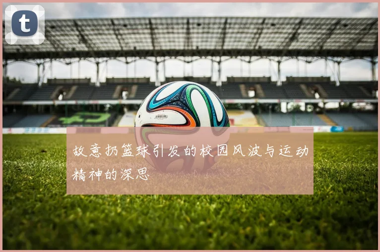 故意扔篮球引发的校园风波与运动精神的深思
