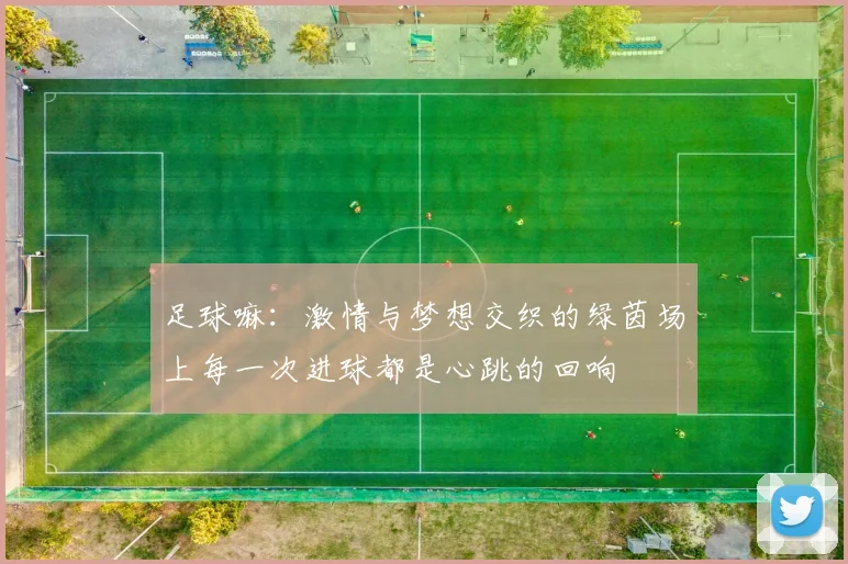 足球嘛：激情与梦想交织的绿茵场上每一次进球都是心跳的回响