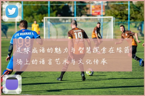 足球成语的魅力与智慧探索在绿茵场上的语言艺术与文化传承