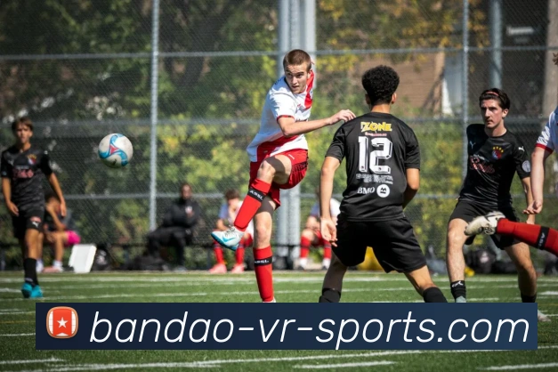 半岛体育品牌故事