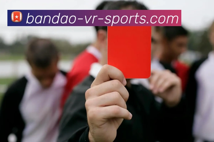 半岛体育服务体系